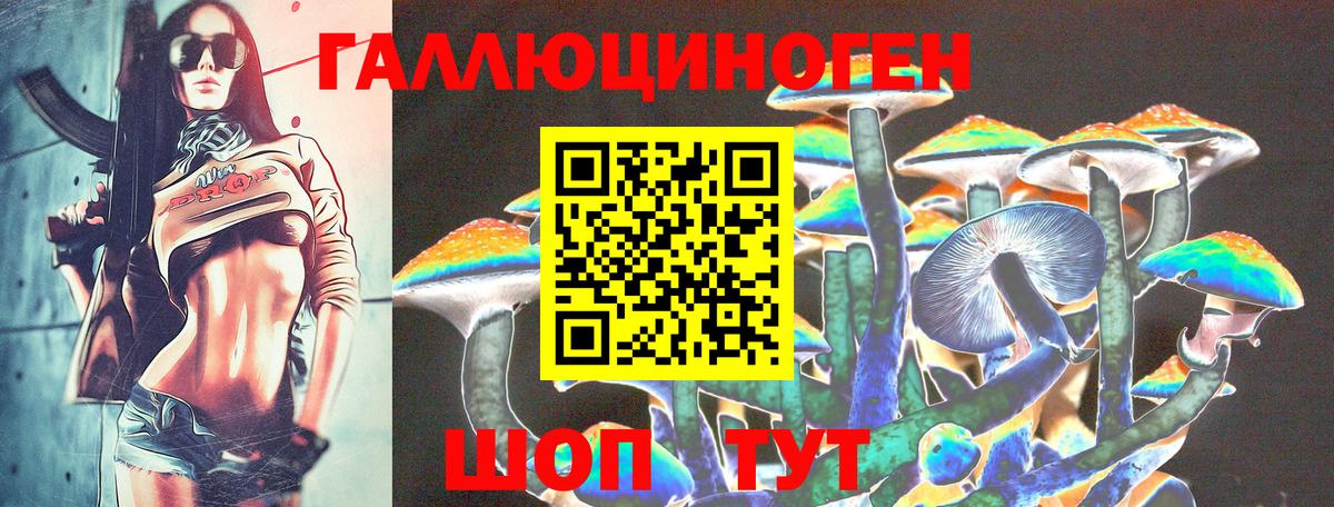 Альметьевск  Галлюциногенные грибы MAGIC MUSHROOMS  Вход с VPN  Псилоцибиновые грибы Psilocybine cubensis 