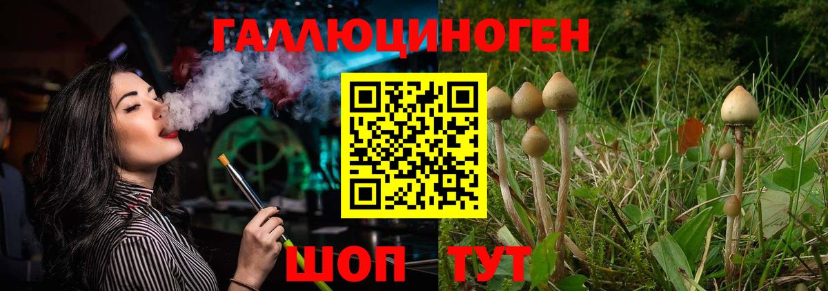 Псилоцибиновые грибы Psilocybine cubensis Альметьевск